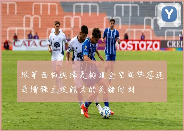 绿军面临选择是构建全空间阵容还是增强主攻能力的关键时刻