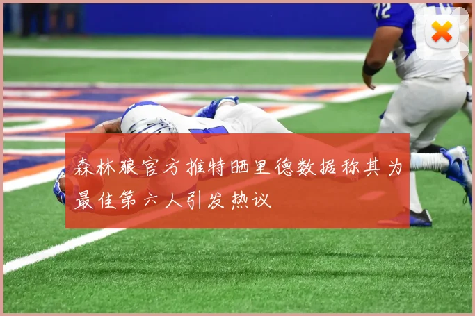 森林狼官方推特晒里德数据称其为最佳第六人引发热议